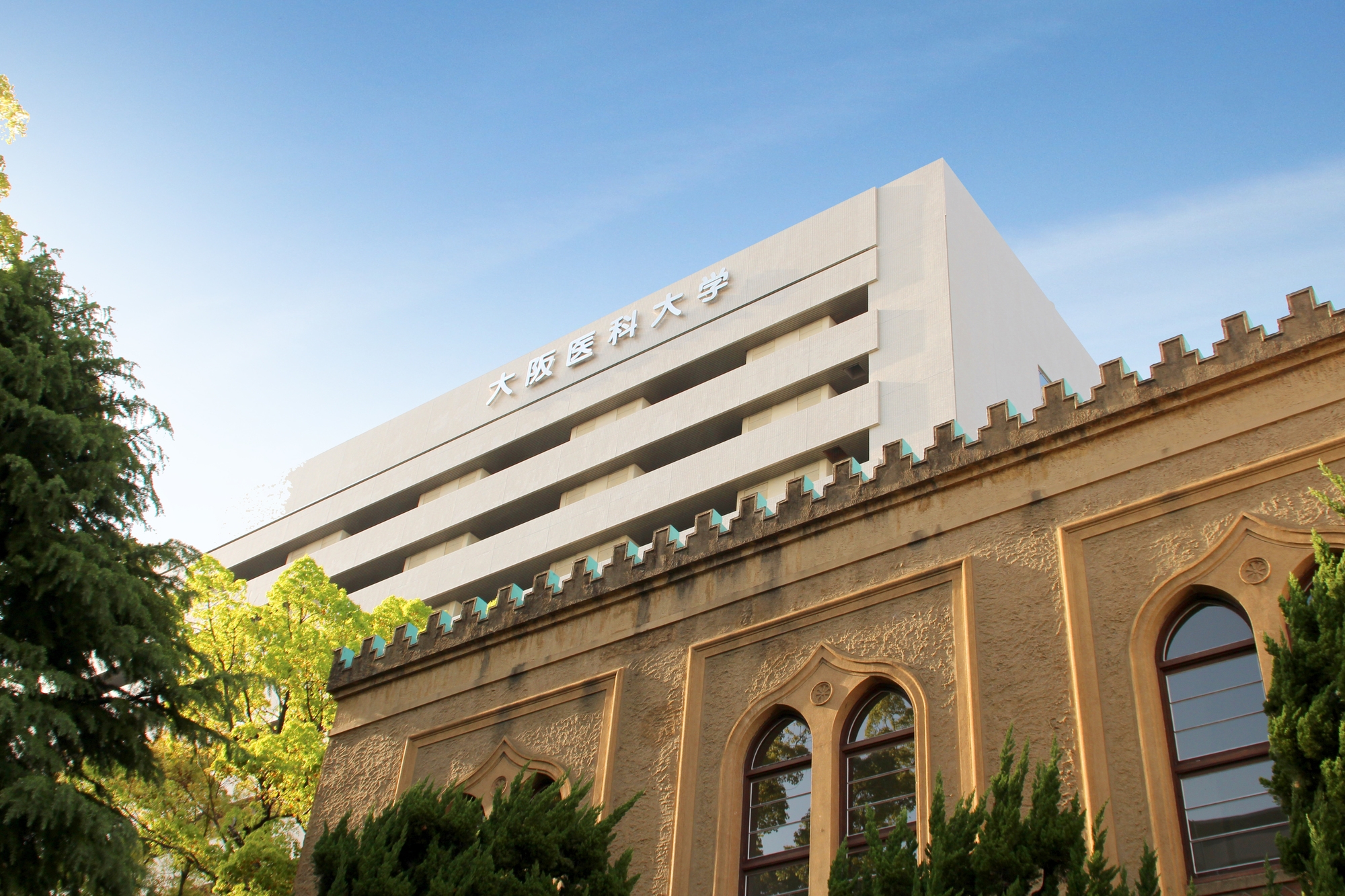 2382__cGl4dGFfNTAwNjYzNTJfTQ-D