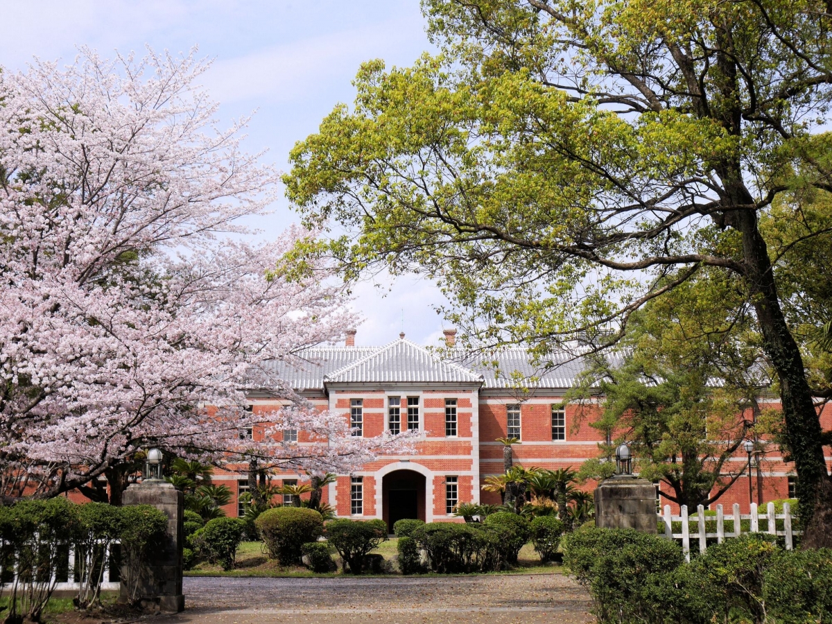 熊本大学医学部