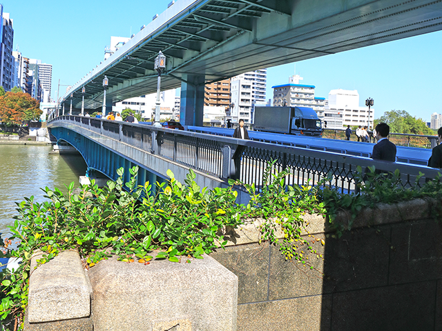 メビオ周辺の風景