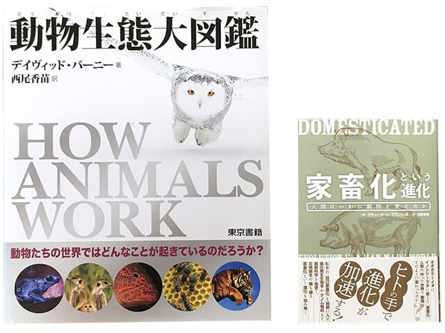 専任講師西尾の訳書 『動物生態大図鑑』 デイヴィッド・バーニー （東京書籍） 『家畜化という進化』 リチャード・C・フランシス （白揚社）