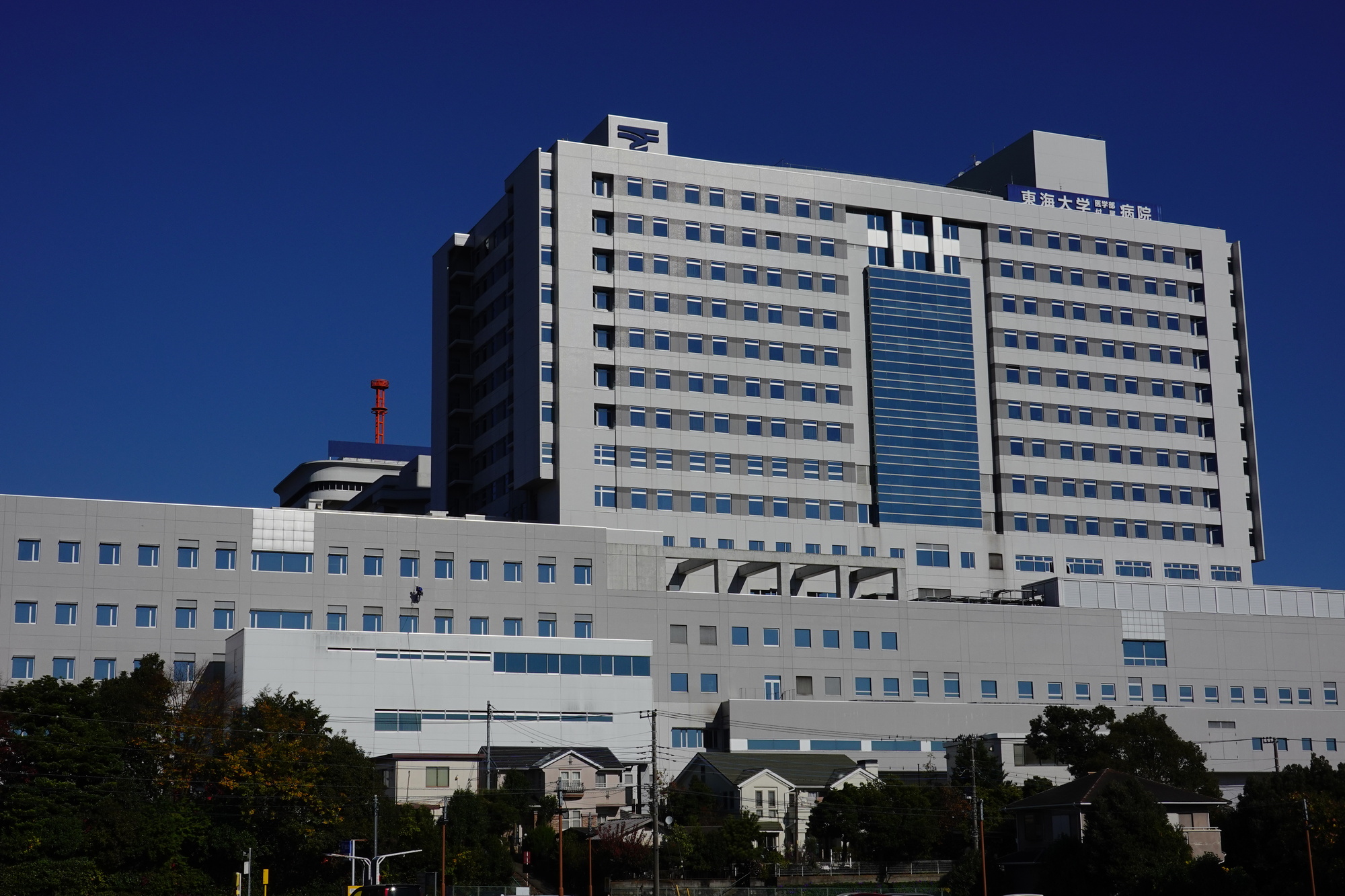 講師監修】東海大学医学部の入試傾向と受験対策・勉強法を解説