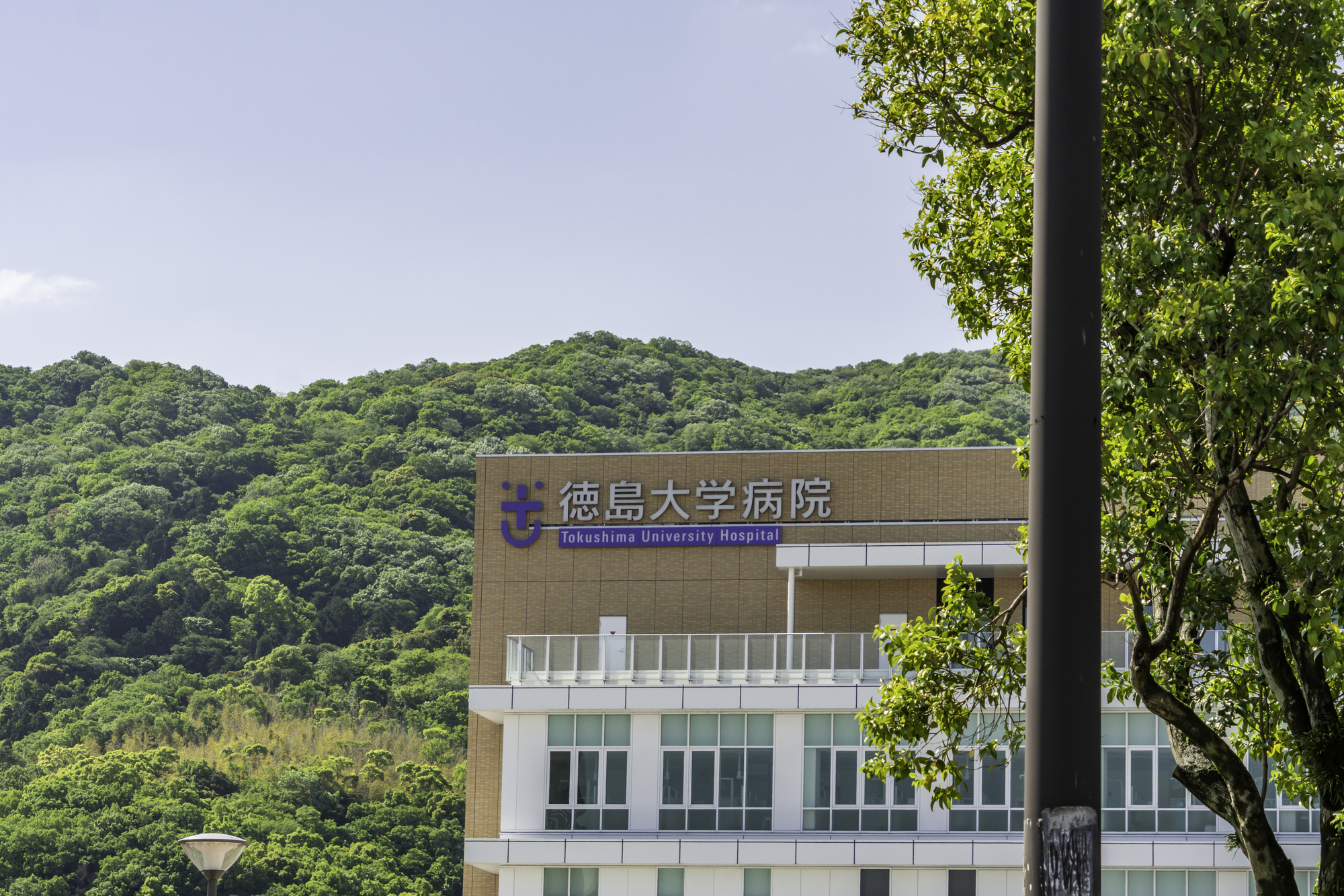 講師監修】徳島大学医学部の入試傾向と受験対策｜医学部予備校
